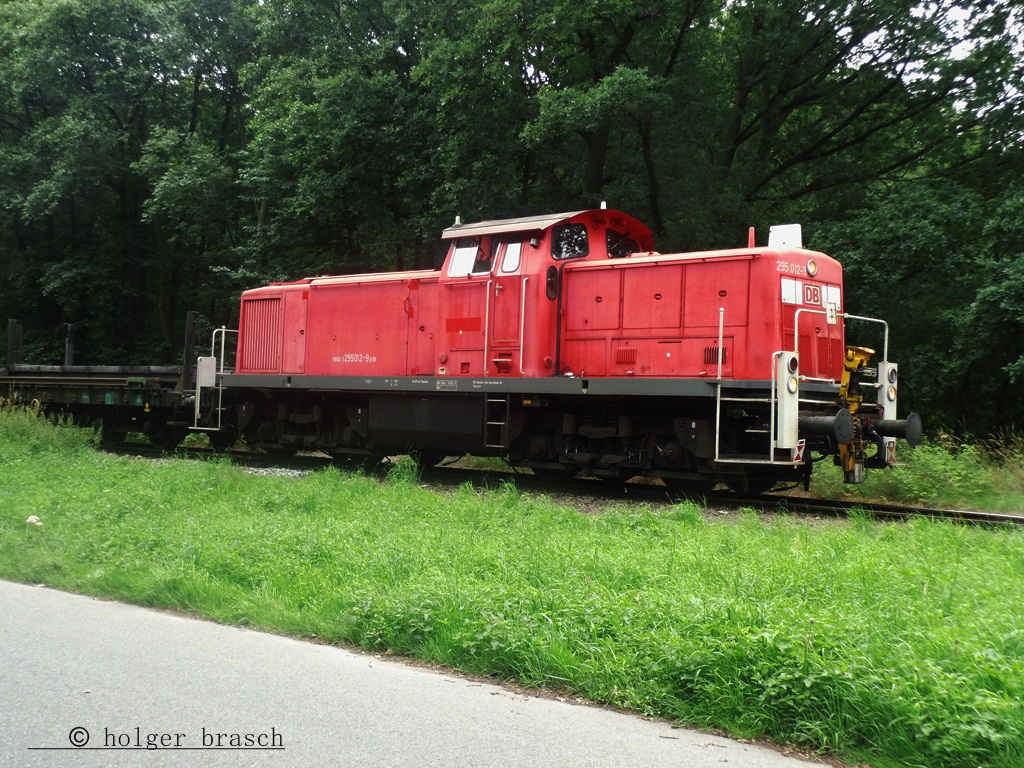 295 012-9 stand beim glinder bhf mit mehreren gleisbauwagen abfahrbereit am 13.07.13