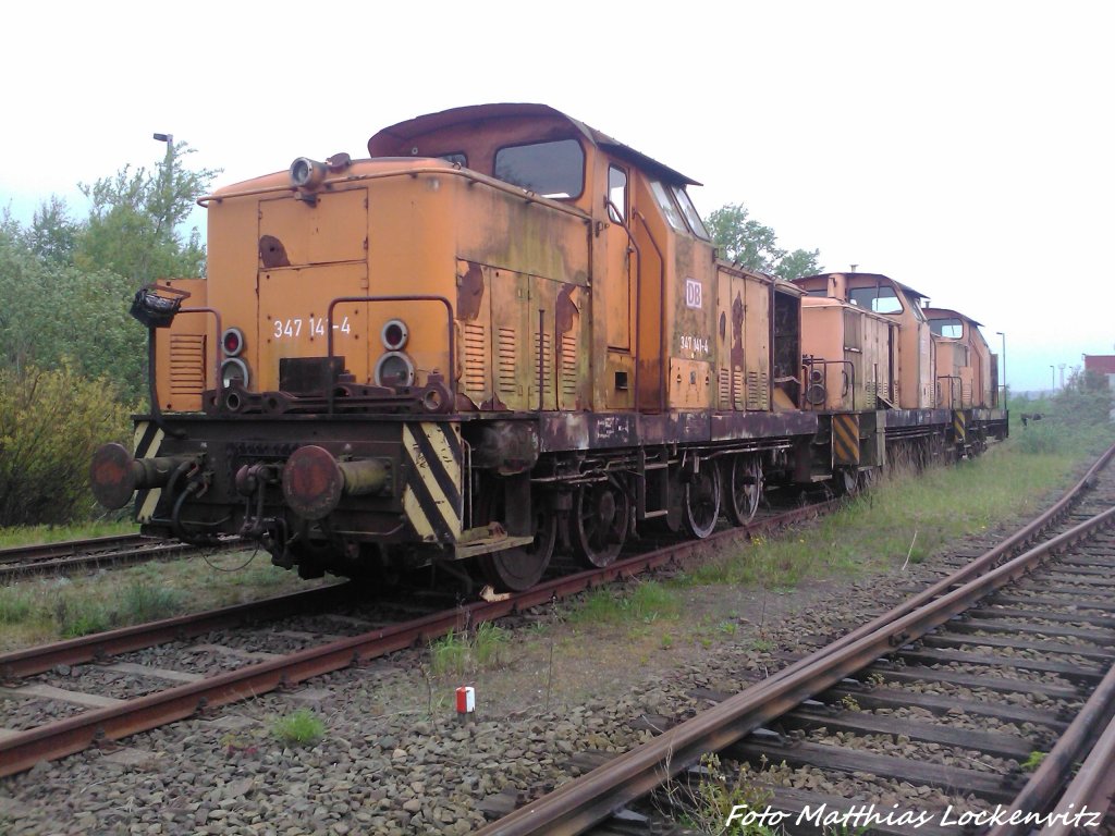 347 141-4 / 347 036-5 / 347 140-6 in Mukran am 20.5.13