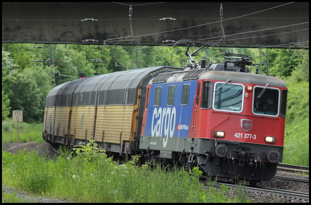 421 377 mit ARS Altmann Autozug am 30.05.13 in Gtzenhof