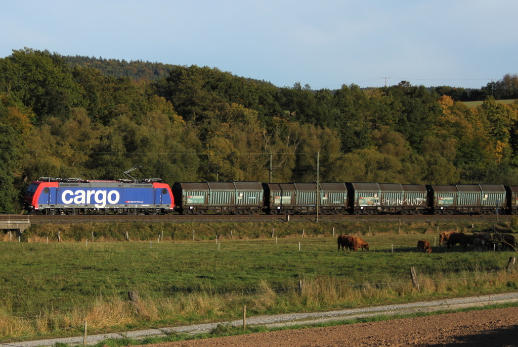 482 043 mit kurzem Gterzug am 01.10.12 bei Hermannspiegel