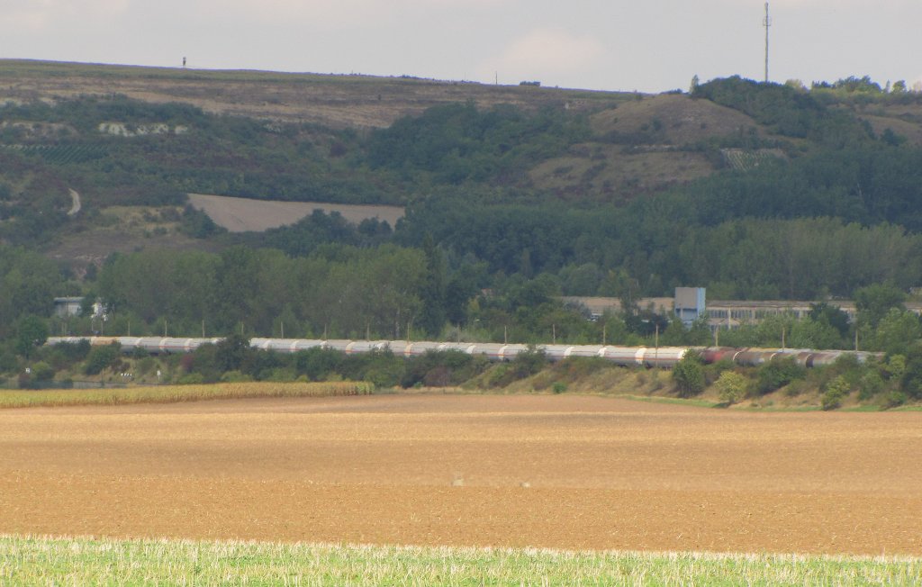 Abgestellte Kesselwagen bei der Erfurter Bahnservice in Karsdorf; 08.09.2012
