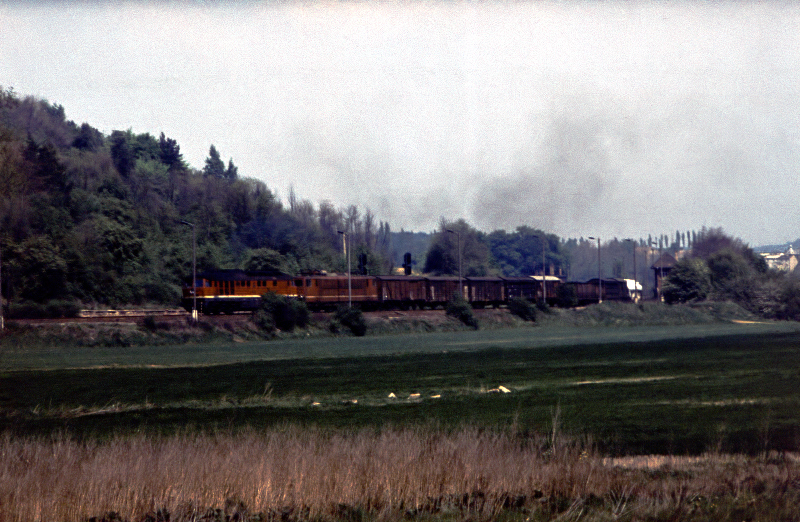 Am 02.06.1981 fotografierte unser Unstrutbahnfreund, Peter Polzin, diesen G�terzug in Richtung Artern auf der Unstrutbahn kurz hinter dem Bahnhof Nebra.
Die DR 250er hinter der DR V300 l�uft entweder als Wagenlok mit oder der G�terzug war damals als Umleiter unterwegs.