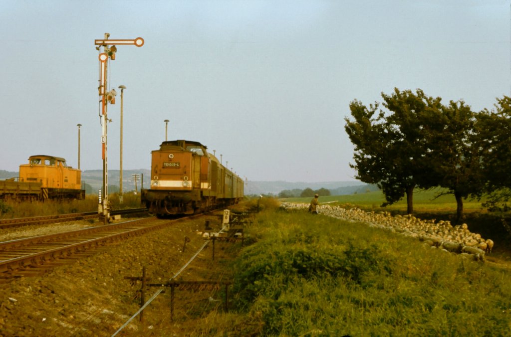 Am 03.10.1987 fotografierte Klaus Pollm�cher die DR 110 049-4 mit einem Personenzug Richtung Nebra bei der Einfahrt in Laucha. Den Sch�fer und die Schafe st�rt das augenscheinlich nicht. Die V60 links ist vermutlich im Rangierdienst im Bf Laucha t�tig.