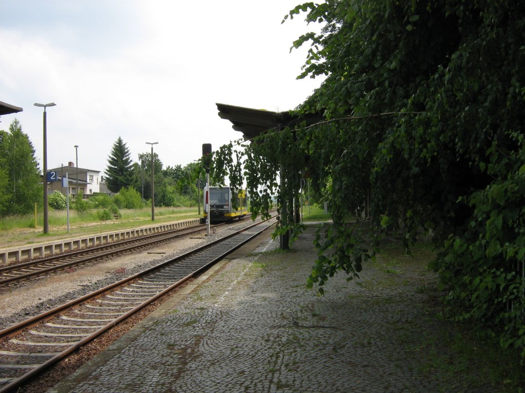 Am 15. Juni 2010 bot sich am Bstg. 1 im Bf. Teuchern dieses Bild