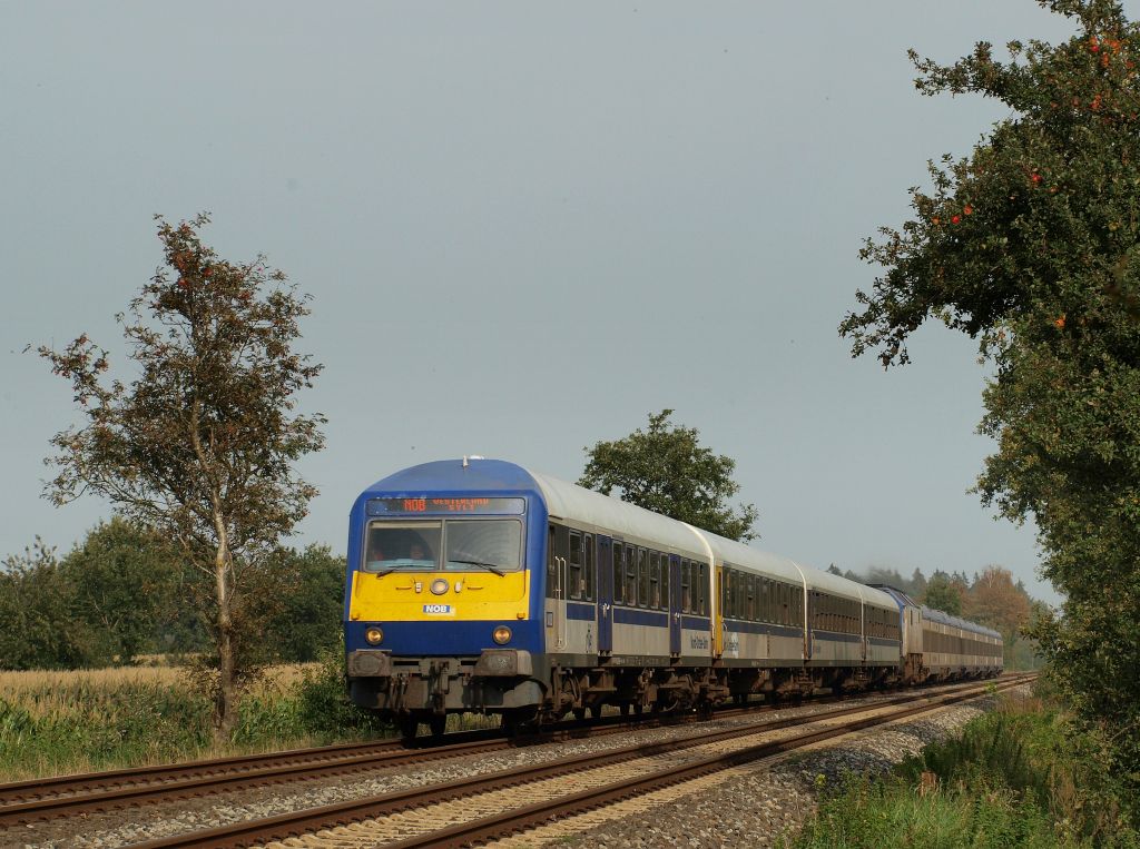 Am 24.9.11 rauschte eine 10 Wageneinheit der Nord-Ostsee-Bahn angefhrt von einem Wittenberrger Steuerwagen durch St.Michaelisdonn. Sie wird bald Heide erreiechen.