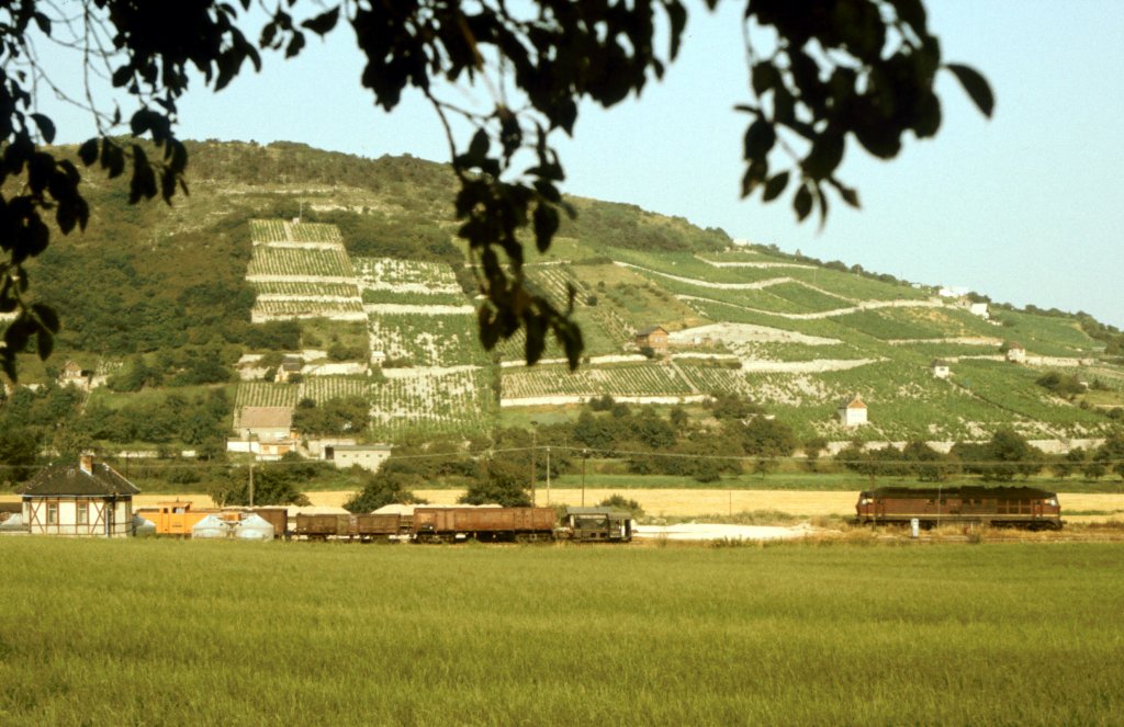 Am 27.08.1984 war im Bf Freyburg noch richtig viel los. Gleich 3 Dieselloks zeigten sich neben dem Stellwerk B1. Neben der V300 noch eine V60 und eine Lok der DR BR 100, welche vermutlich mit G�terwagen zur Kiesverladung rangiert hat.. (Foto: Klaus Pollm�cher)