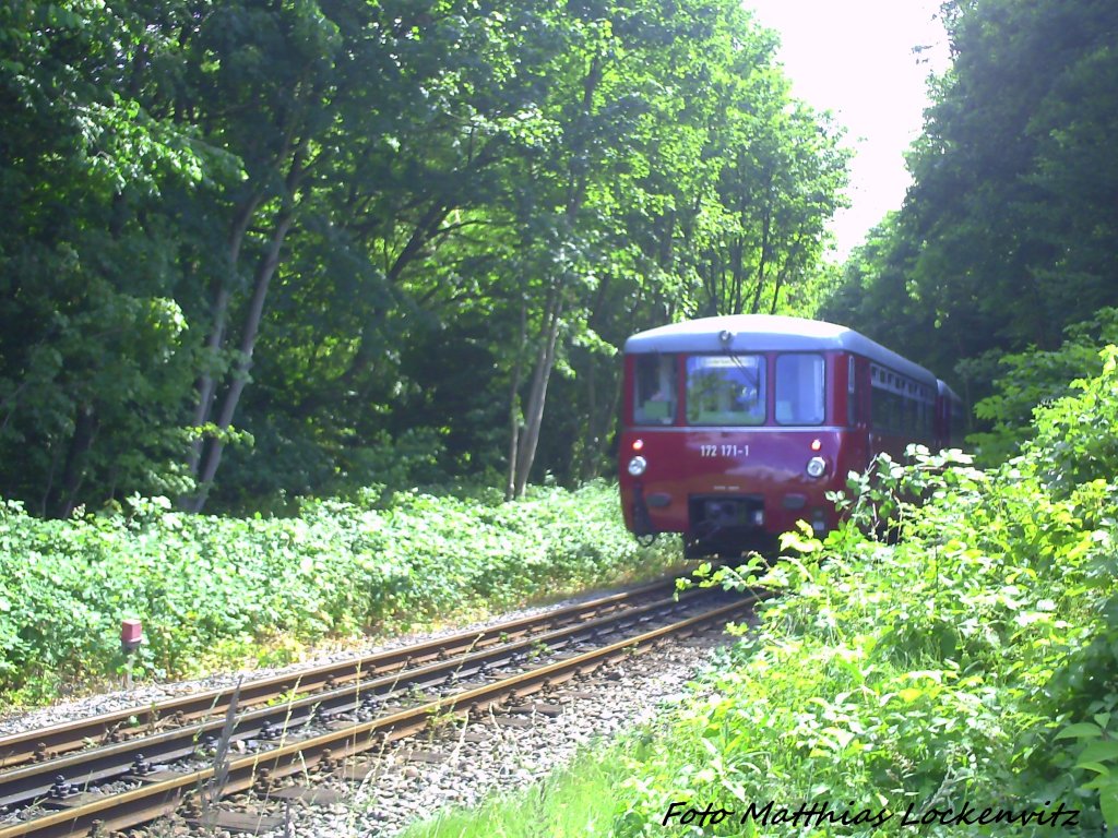 Am 27.8.11 Fuhr Die Chemnitzer Ferkeltxen 172 132 + 172 171 im Sonderzugplaneinsatz auf der Strecke Bergen auf Rgen - Putbus - Lauterbach Mole / Hier kurz hinter Putbus in  Richtung Lauterbach Mole