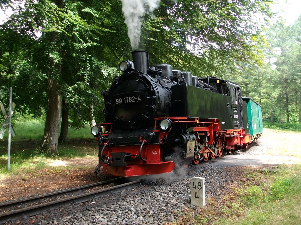 Am Haltepunkt Jagdschlo hielt 99 1782 mit ihren Zug am 06.Juli 2010.