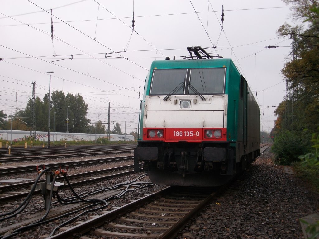 Am Nachmittag vom 16.Oktober 2010 bespannte 186 135 den D 441 Berlin Zoo-Kiew.Am Vormittag traf ich Sie in Berlin Grunewald abgestellt.