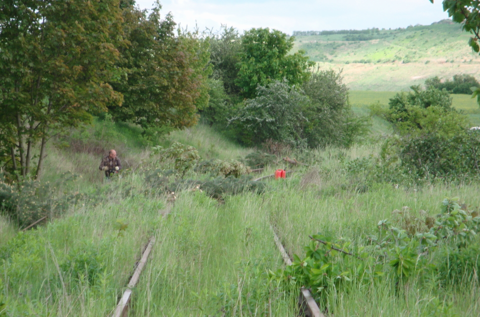Arbeitseinsatz am 12.05.2012 in Ro�leben um die ehemaligen Anschlu�bahngleise des Kaliwerkes freizuschneiten. Dort sollen zuk�nftig wieder G�ter verladen werden. (Foto: G�nther G�bel)