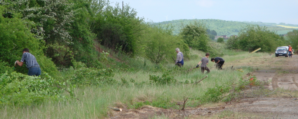 Arbeitseinsatz am 12.05.2012 in Ro�leben. Ziel war es, dass ehemalige Anschlu�bahngleis des Kaliwerkes freizuschneiten. Dort sollen zuk�nftig wieder G�ter verladen werden. (Foto: G�nther G�bel)