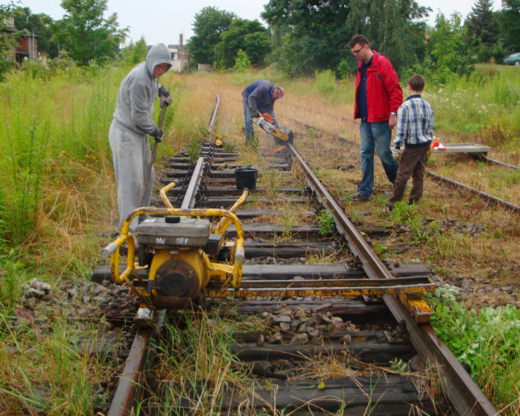Arbeitseinsatz am 21.07.2012 in Ro�leben, um einen Teil der Gleisanlagen f�r m�gliche zuk�nftige G�terverladungen wieder befahrbar zu machen. (Foto: G�nther G�bel)