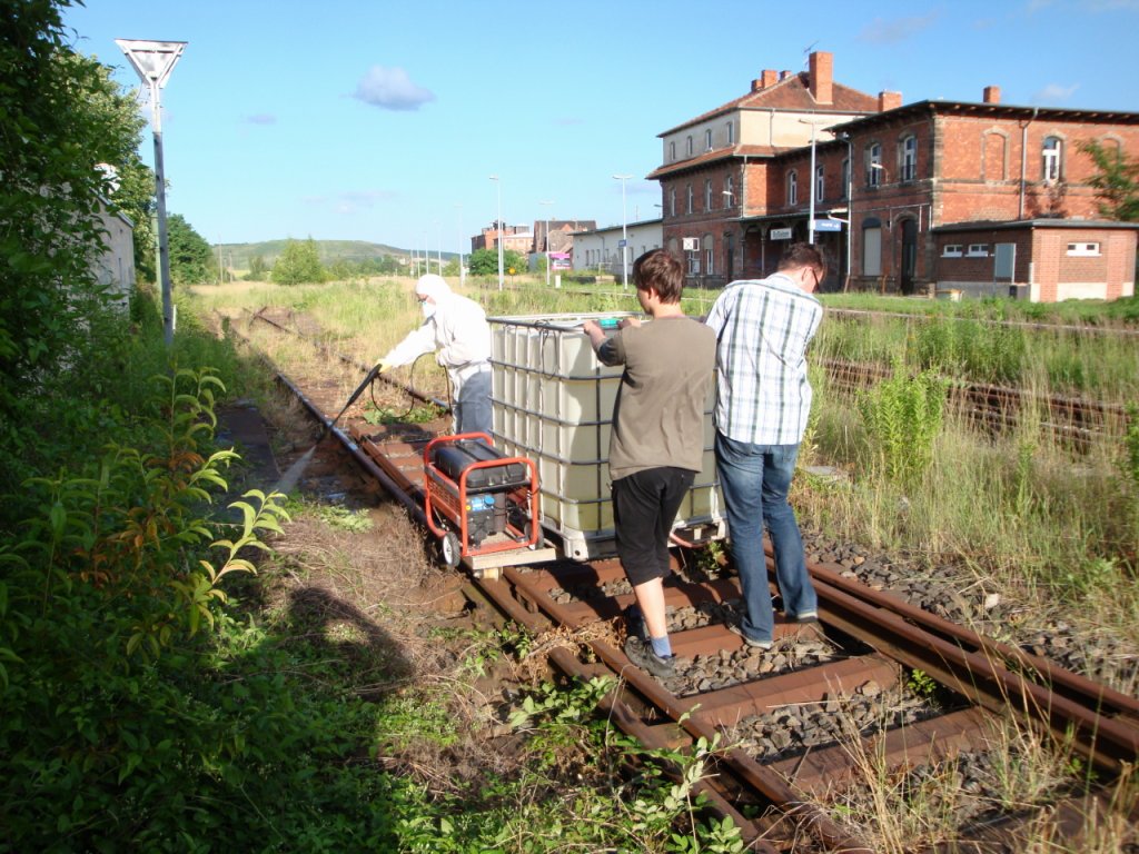 Arbeitseinsatz am 22.06.2012 im Bf Ro�leben. Am zuk�nftigen G�terverladegleis wurde dem Unkraut zu Leibe ger�ckt. (Foto: G�nther G�bel)