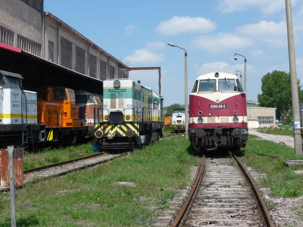 ARCO 4070.51-2 und die ELP 5250.05-5 (ex DB 228 742-3) am Zementwerk Karsdorf; 05.05.2011 (Foto: Klaus Pollm�cher)