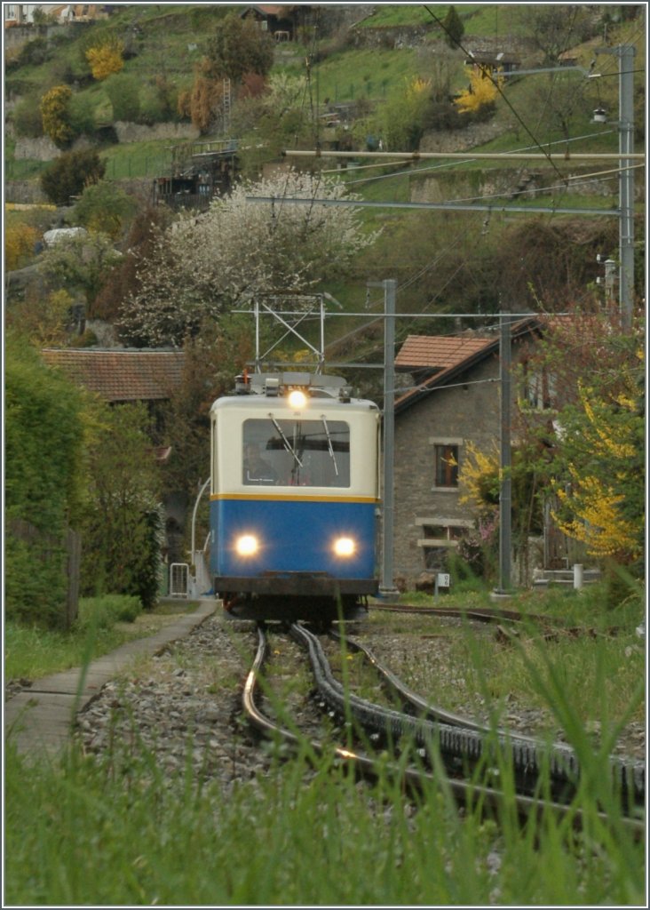 Auf 80 cm von Montreux auf den Rochres de Naye: Ein Beh 2/4 Triebwagen als Schlerzug bei Les Panches.
5. April 2012