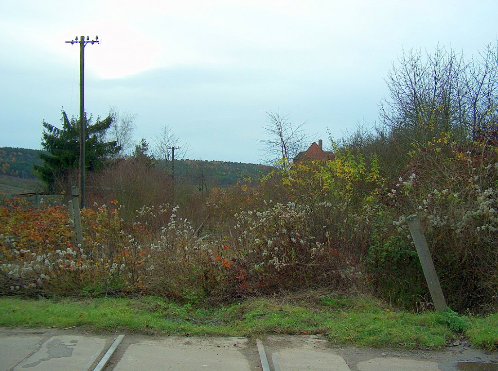 Bahn�bergang kurz vor dem Bf Golzen; 15.11.2009