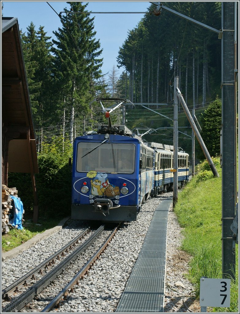 Bei Crt-d'y-Bau fahren zwei Beh 4/8 bergwrts.
14. Aug. 2012