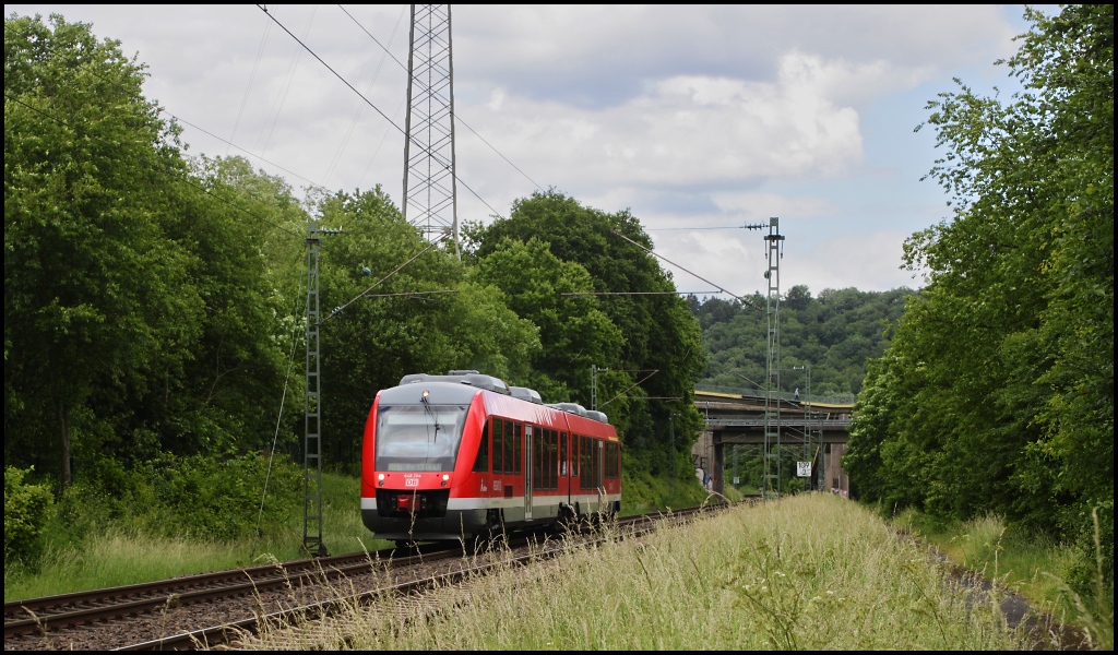 Bei dieser Vegetation wird es selbst fr 1,90er schwer... 648 204 mit RB 95 nach Au (Sieg) in der Nhe von Siegen Eiserfeld
