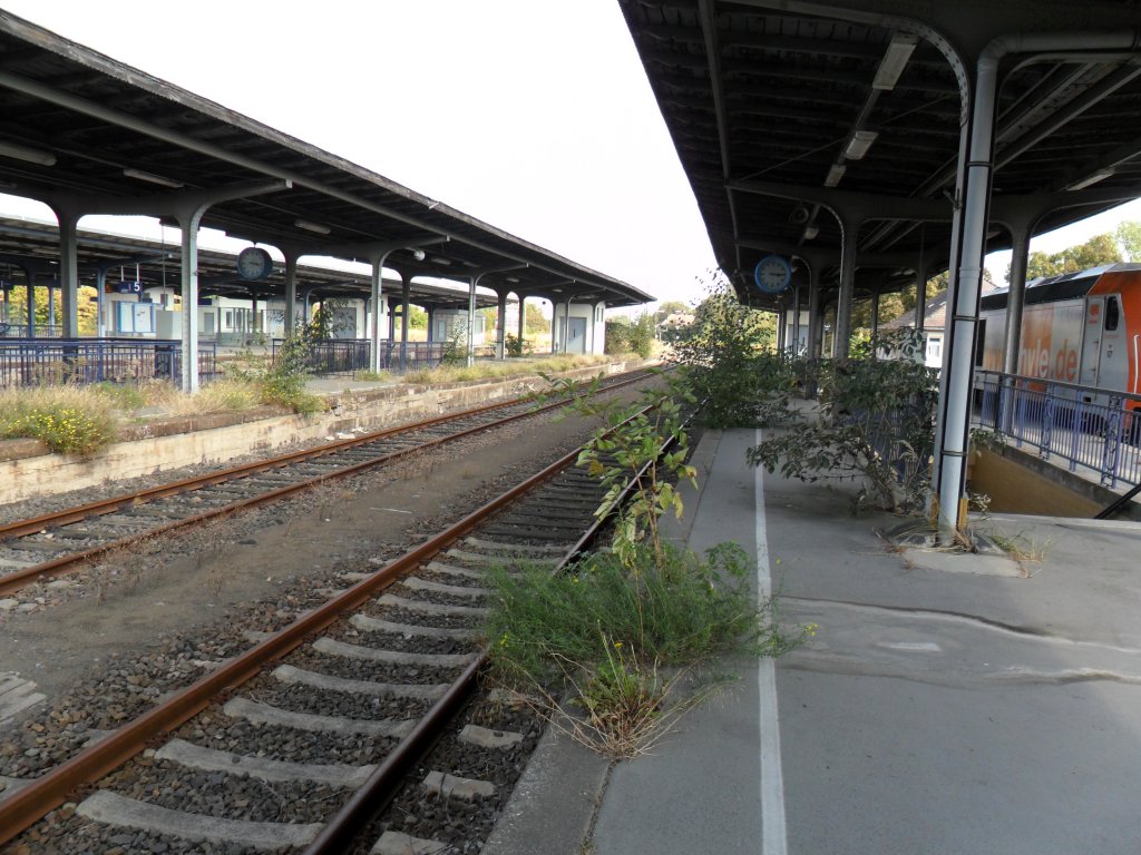 Bhf Zeitz; Was nicht mehr gebraucht wird holt sich die Natur wieder zur�ck.
Trauriger Anblick, gesehen am 20.09.2011. Am Gl 1 ist 285 102-0 der hvle zusehen.