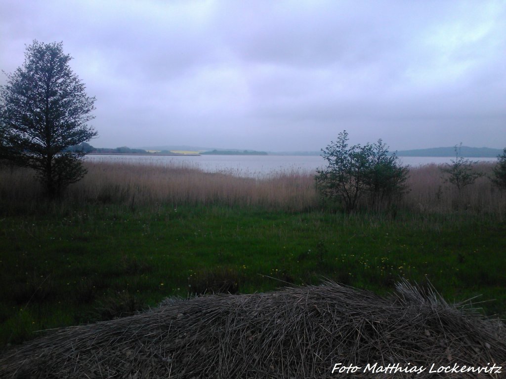 Blick auf den Kleinen Jasmunder Bodden von Lubkow (Rgen) am 20.5.13