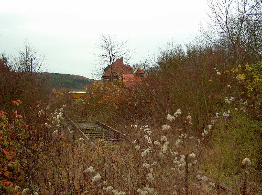 Blick in den Bf Golzen; 15.11.2009