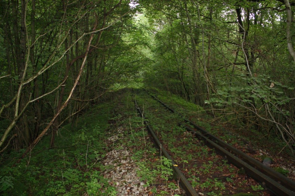Ca. 10 m nach der 12 Apostelbr�cke in Richtung Saubach gesehen, verschwindet die Strecke im nirgendwo; 13.08.2011 (Foto: Peter Stumpf)