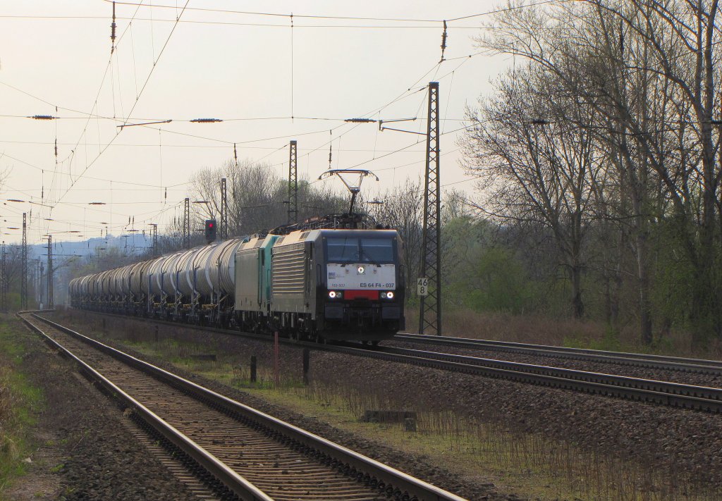 CFL Cargo ES 64 F4-037 mit E 186 246 als Wagenlok und Kesselwagen Richtung Gro�korbetha, am 14.04.2012 in Naumburg. 