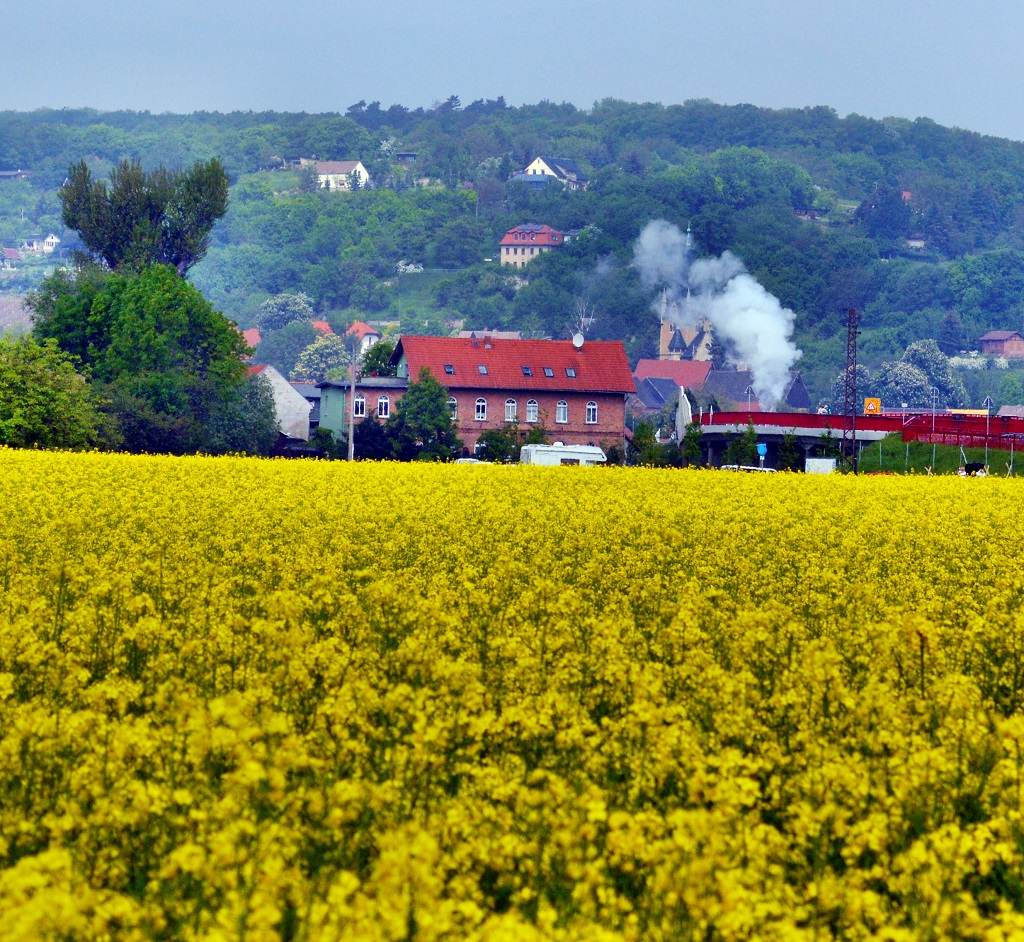 Dampfwolken am Himmel. Die Rauchfahne von der 52 8154 am 19.05.13 �ber Ro�bach k�ndigt die R�ckfahrt des Sonderzuges anl��lich der  Saale-Weinmeile 2013  von Freyburg an. Jetzt geht es als DPE 37691 nach Camburg.