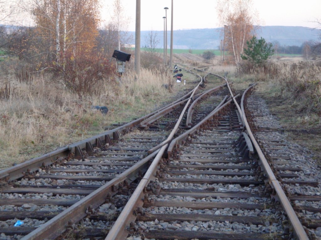 Das Anschlu�gleis zur Kalihalde in Ro�leben, auf dem zuk�nftig wieder Sch�ttgutmassen per Bahn angeliefert werden sollen; 17.11.2012 (Foto: G�nther G�bel)

