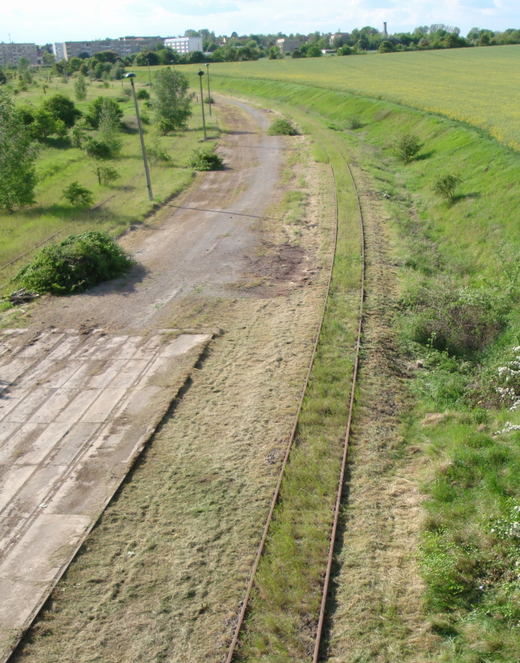 Das ehemalige Anschlu�bahngleis des Kaliwerkes nach dem Arbeitseinsatz am 12.05.2012. Grober Bewuchs wurde entfernt, damit zuk�nftig wieder G�ter verladen werden k�nnen. (Foto: G�nther G�bel)