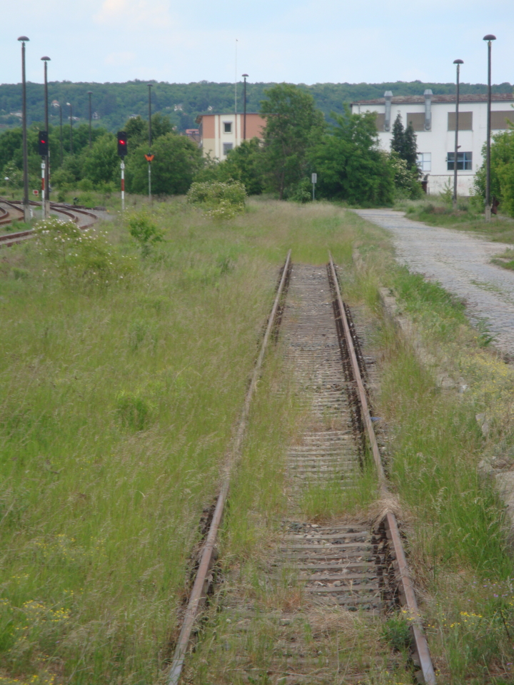 Das ehemalige G�terverladegleis am Naumburger Ostbahnhof; 28.05.2011 (Foto: G�nther G�bel)