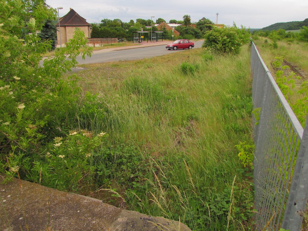 Das ehemalige G�terverladegleis im Bf Laucha; 06.06.2011