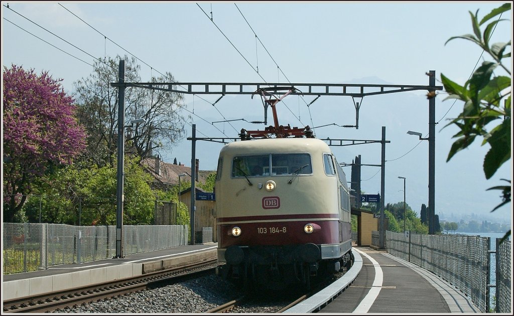 DB 103 184-8 mit dem ungewohnt schmalen SBB-Schleifstck-Stromabnehmer bei St-Saphorin am 26. April 2011.