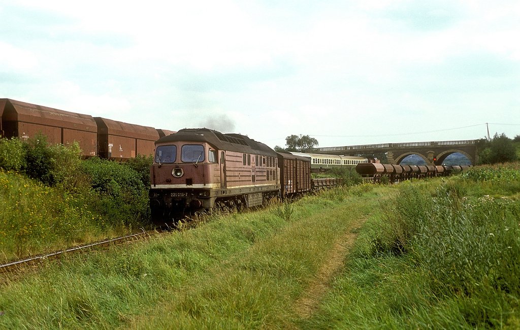 DB 231 016-7 mit einem gemischten G�terzug Richtung Teuchern, am 11.08.1993 in Zeitz. (Foto: Werner Brutzer)