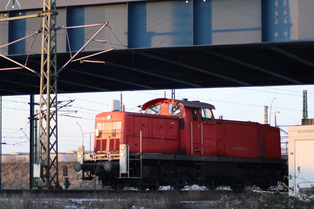 DB 291 036-2 Rangiert am 05.02.2012 in Hamburg Waltershof