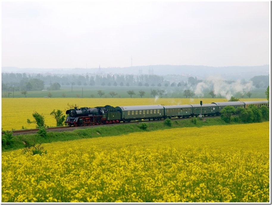 DB Museum 03 1010 und EMBB 52 8154-5 am Zugschlu� mit dem DPE 37690 zur  Saale-Weinmeile  aus Leipzig Hbf auf der Fahrt nach Freyburg. Nachdem viele Reisende in Ro�bach ausgestiegen waren, fuhr der Zug weiter nach Freyburg, hier zu sehen bei Kleinjena. (Foto: Steffen Tautz)