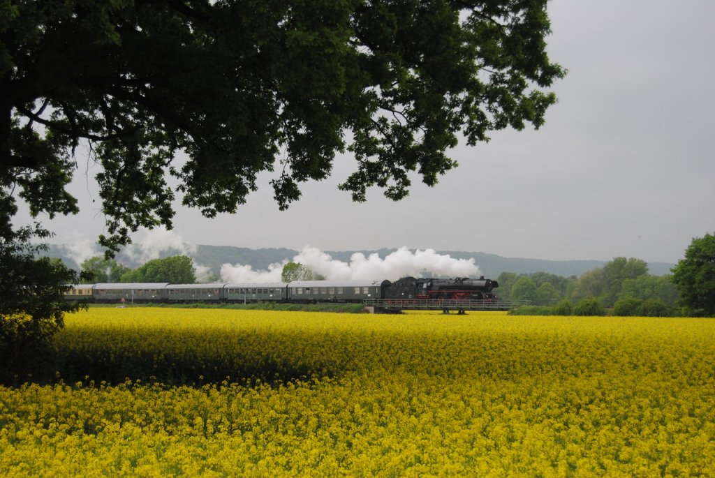 DB Museum 03 1010 mit dem Sonderzug zur  Saale-Weinmeile  aus Leipzig, am 19.05.2013 bei Ro�bach. (Foto: dampflok015)
