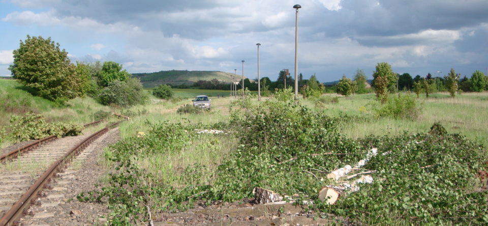 Der Bereich der fr�heren Anschlu�bahngleise zum Kaliwerk in Ro�leben; 12.05.2012. (Foto: G�nther G�bel)