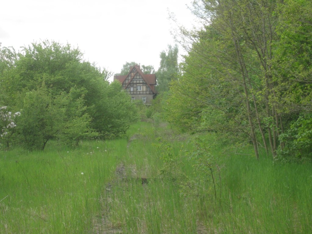 Der Rest vom Finnebahngleis kurz vor dem Bf Lossa, Blick in Richtung K�lleda; 18.05.2010 (Foto: Thomas Reschke)