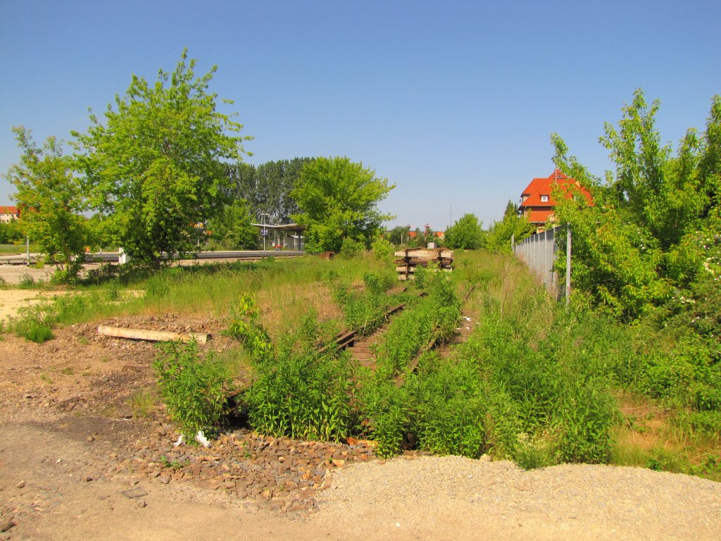 Der Rest vom fr�heren Gleis 1 im Bf Laucha. Die war ein Verladegleis mit Rampe; 30.05.2012