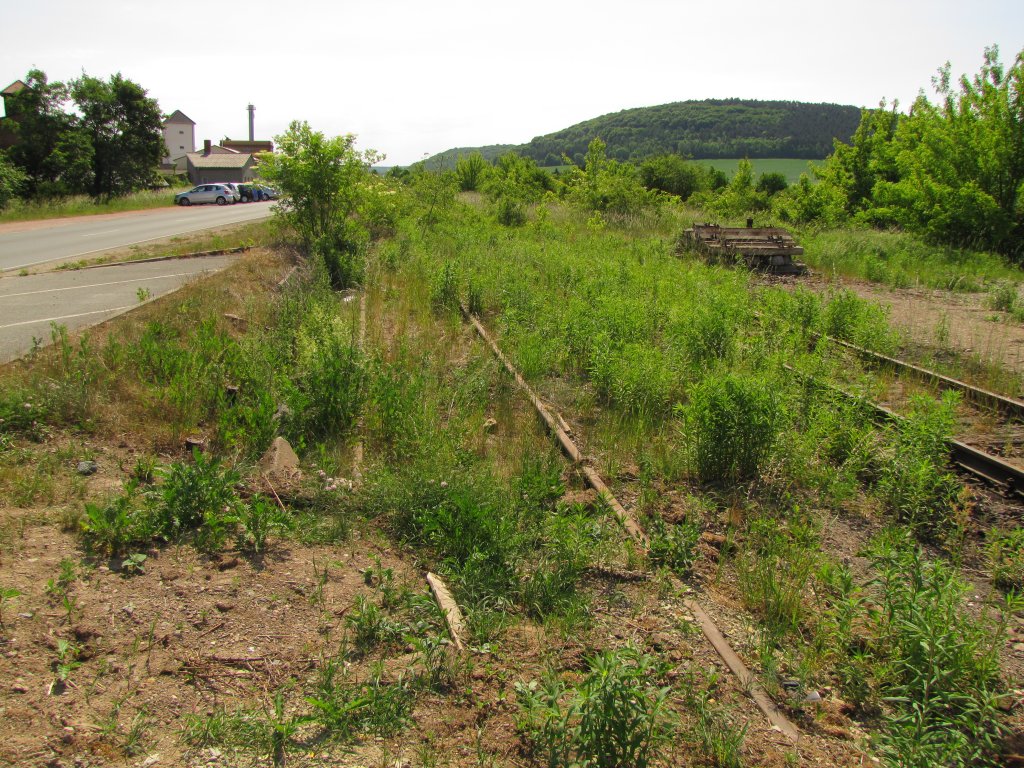 Der Rest vom Verladegleis neben der Ladestra�e in Laucha; 30.05.2012