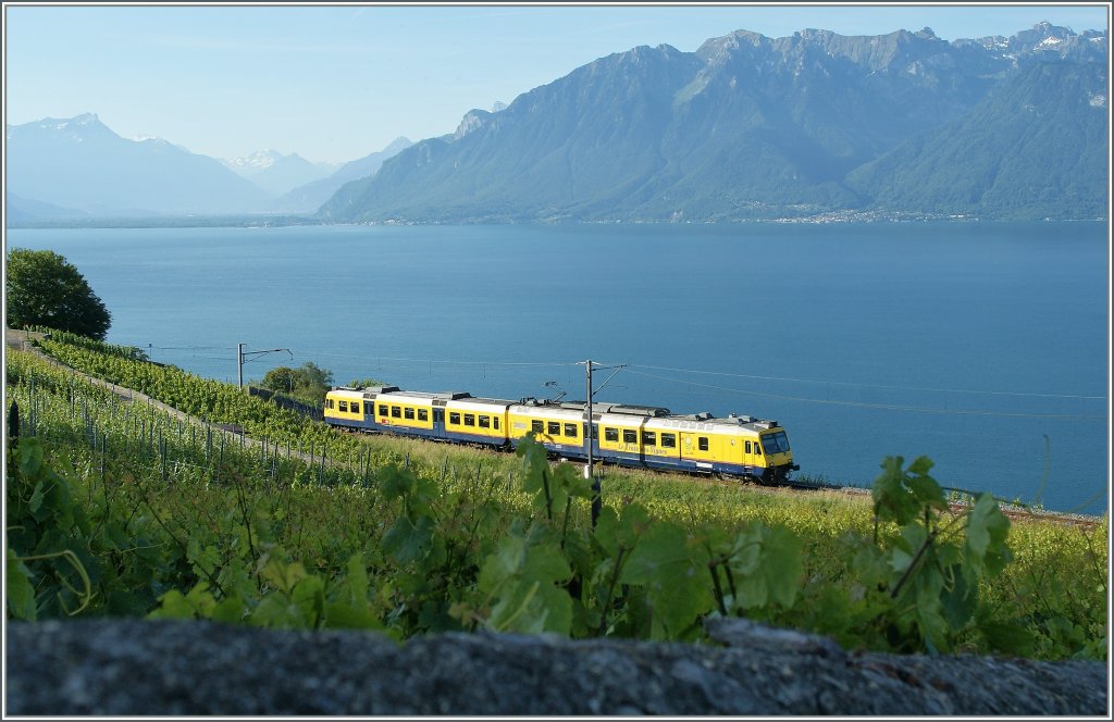 Der  Train des Vignes  kurz vor Chexbres am 29. Mai 2011.