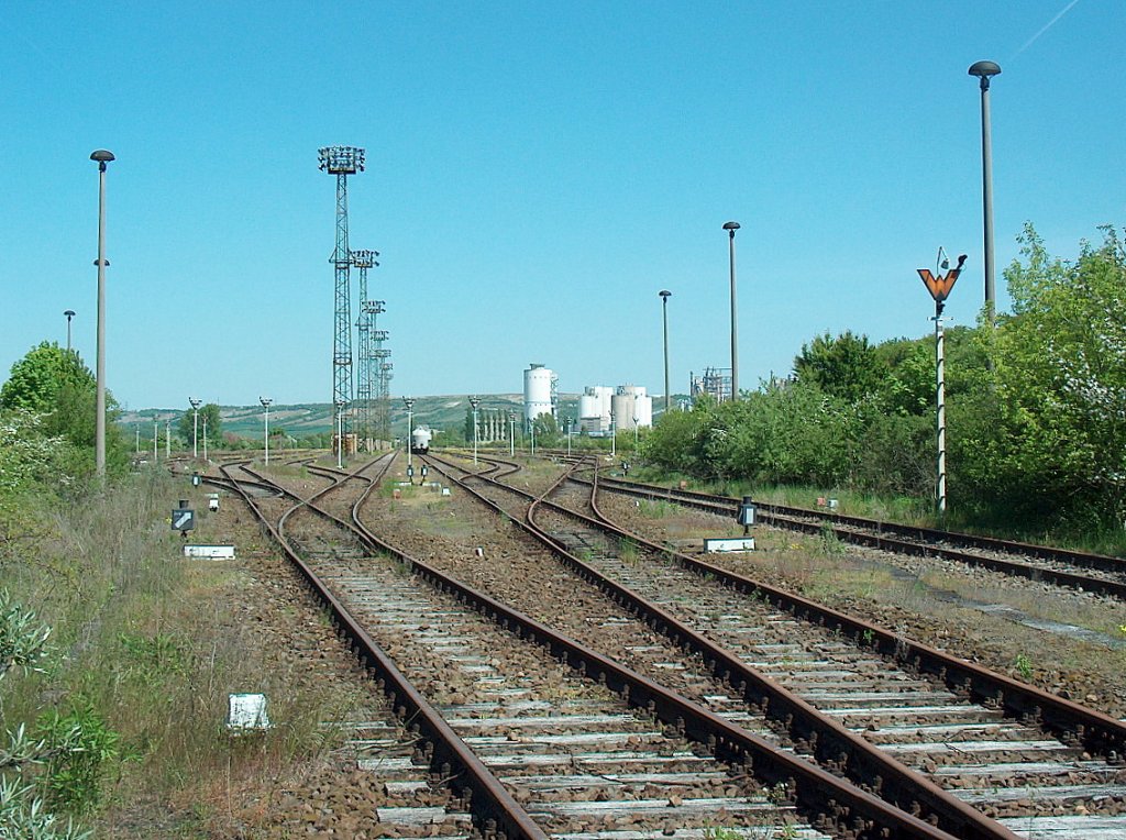 Die 100er Gleise am Zementwerk Karsdorf; 11.05.2008
