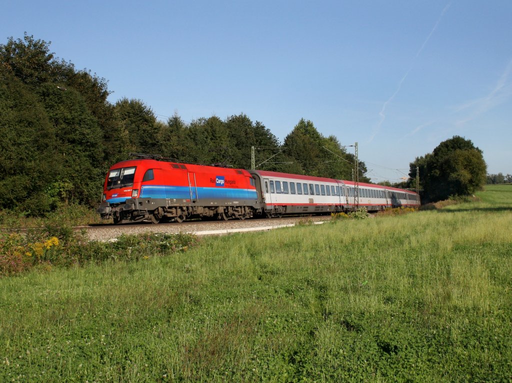 Die 1116 015 mit dem EC 111 am 03.09.2011 unterwegs bei Ostermnchen. 