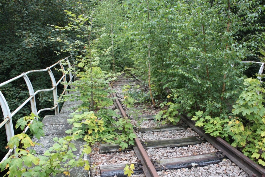 Die 12 Apostelbr�cke bei Bad Bibra, Blick in Richtung Saubach; 13.08.2011 (Foto: Peter Stumpf)