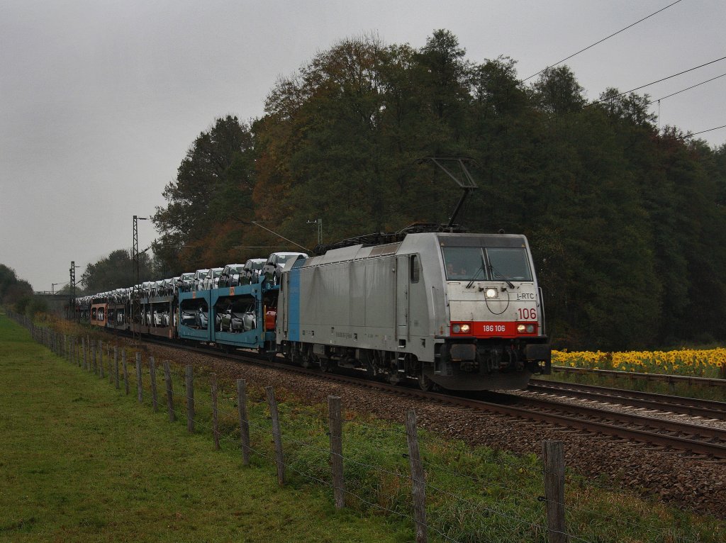 Die 186 106 am 14.10.2010 mit einem Autozug unterwegs bei Grokarolinenfeld. (B Vogl) 
