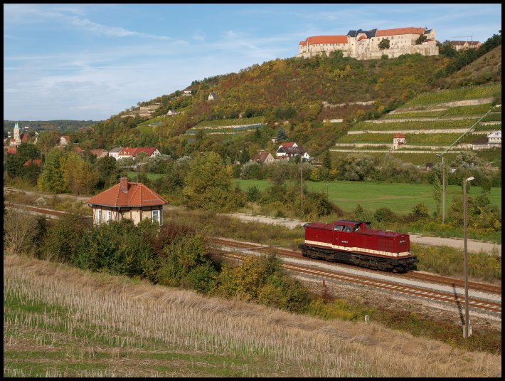Die 202 703-5 der Leipziger Eisenbahngesellschaft setzte nach der Ankunft des  Rotk�ppchen-Express  aus Altenburg im Bf Freyburg um und fuhr den Leerzug zur Abstellung nach Naumburg Hbf; 03.10.2010 (Foto: Steffen Tautz)