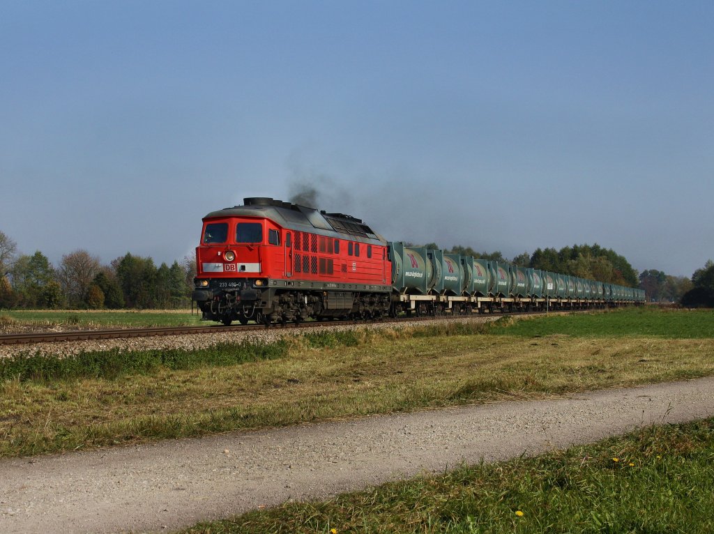 Die 233 486 am 12.10.2010 mit einem Mllzug unterwegs bei Heiligenstatt.
