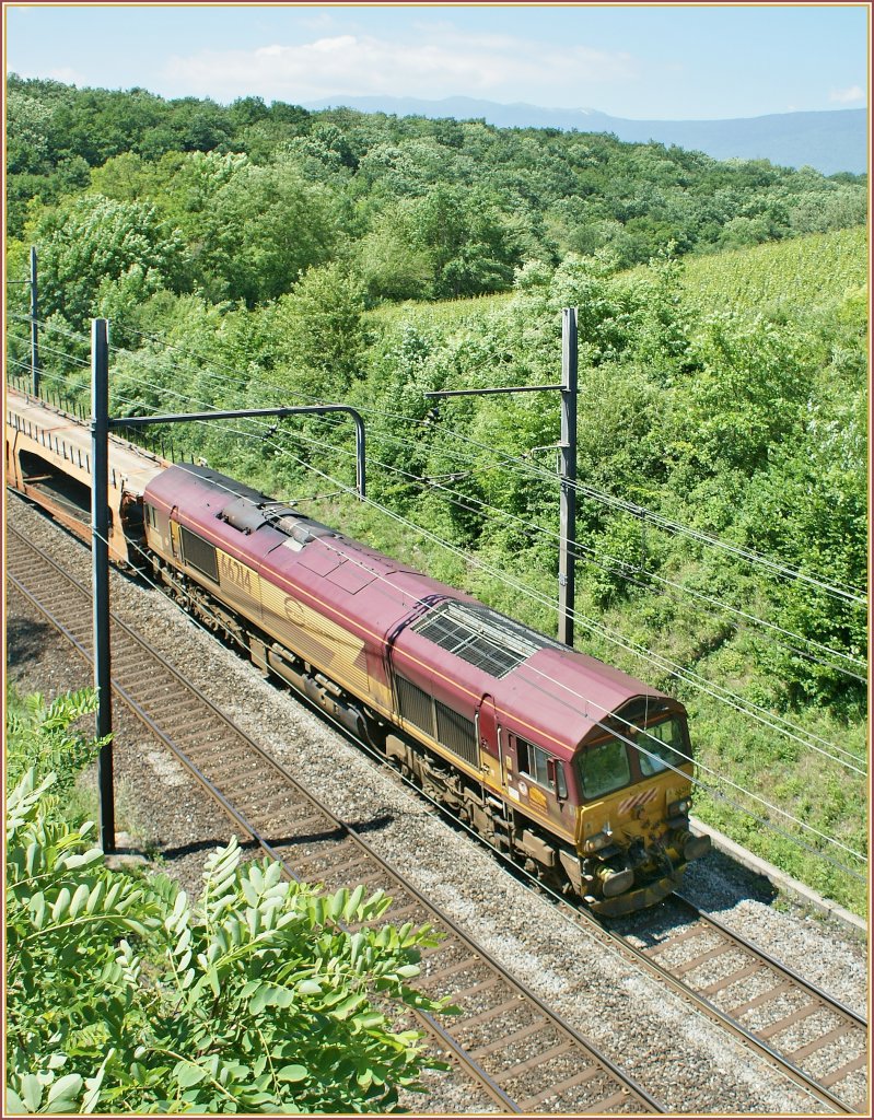 Die  Britische ? EWS    66214 unter franzsischem Stromsystem kurz vor Satigny in der Schweiz.
29.05.2009