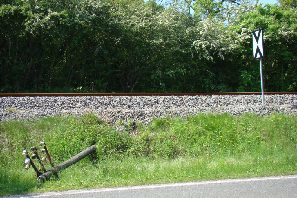 Die Deutsche Bahn AG hat ein Subunternehmen beauftragt, das zuerst im Abschnitt Balgst�dt-Laucha, sp�ter im Abschnitt Freyburg-Balgst�dt, die letzten verbliebenen Telegrafenmasten an der Unstrutbahn zur�ckbaut. Das Unternehmen hat die ersten Masten mit Kettens�gen gef�llt und anschlie�end �ber die Stra�e abtransportiert. Damit wird Baufreiheit f�r die im n�chsten Jahr geplanten Bauaktivit�ten an der Unstrutbahn geschaffen. Etwa im Jahr 1998 sind die Telegrafenleitungen au�er Betrieb gegangen. Schnell haben sich Buntmetalldiebe an den Leitungen bedient. Mit der Demontage der Telegrafenmasten f�llt ein weiteres typisches Gesicht der alten Unstrutbahn; 22.05.2010 (Foto: G�nther G�bel)
 
